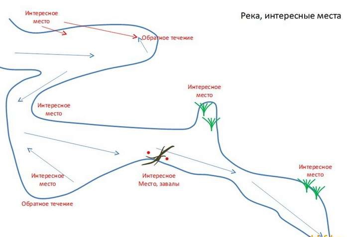 выбор места ловли на реке